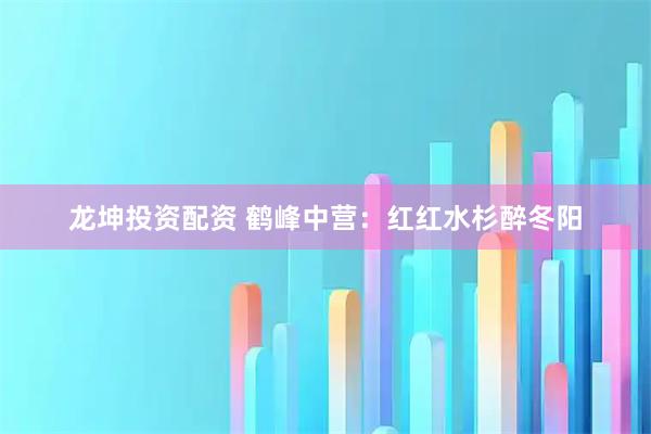 龙坤投资配资 鹤峰中营：红红水杉醉冬阳