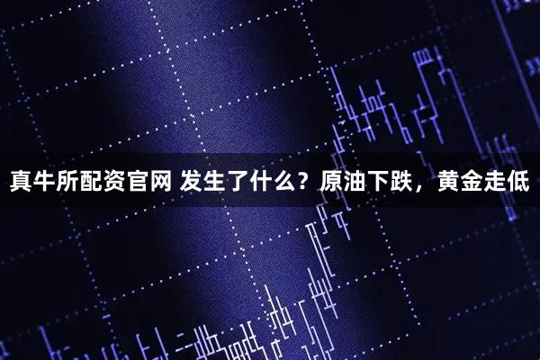 真牛所配资官网 发生了什么？原油下跌，黄金走低