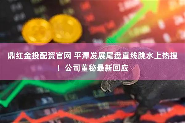 鼎红金投配资官网 平潭发展尾盘直线跳水上热搜！公司董秘最新回应