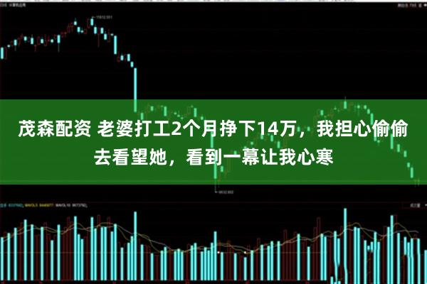 茂森配资 老婆打工2个月挣下14万，我担心偷偷去看望她，看到一幕让我心寒