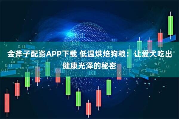 金斧子配资APP下载 低温烘焙狗粮：让爱犬吃出健康光泽的秘密