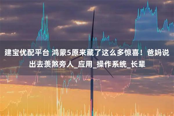 建宝优配平台 鸿蒙5原来藏了这么多惊喜！爸妈说出去羡煞旁人_应用_操作系统_长辈